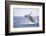 Humpback Whale Breaching from the Atlantic Ocean-DLILLC-Framed Photographic Print