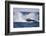 Humpback Whale Breaching from the Atlantic Ocean-DLILLC-Framed Photographic Print