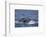 Humpback Whale Breaching from the Atlantic Ocean-DLILLC-Framed Photographic Print