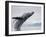 Humpback Whale Breaching in Frederick Sound-Paul Souders-Framed Photographic Print