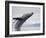 Humpback Whale Breaching in Frederick Sound-Paul Souders-Framed Photographic Print