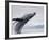 Humpback Whale Breaching in Frederick Sound-Paul Souders-Framed Photographic Print