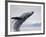 Humpback Whale Breaching in Frederick Sound-Paul Souders-Framed Photographic Print