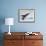 Humpback Whale Breaching in Frederick Sound-Paul Souders-Framed Photographic Print displayed on a wall