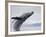 Humpback Whale Breaching in Frederick Sound-Paul Souders-Framed Photographic Print