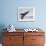 Humpback Whale Breaching in Frederick Sound-Paul Souders-Framed Photographic Print displayed on a wall