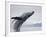 Humpback Whale Breaching in Frederick Sound-Paul Souders-Framed Photographic Print