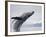 Humpback Whale Breaching in Frederick Sound-Paul Souders-Framed Photographic Print