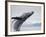 Humpback Whale Breaching in Frederick Sound-Paul Souders-Framed Photographic Print