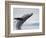 Humpback Whale Breaching in Frederick Sound-Paul Souders-Framed Photographic Print