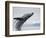 Humpback Whale Breaching in Frederick Sound-Paul Souders-Framed Photographic Print