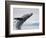 Humpback Whale Breaching in Frederick Sound-Paul Souders-Framed Photographic Print