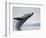 Humpback Whale Breaching in Frederick Sound-Paul Souders-Framed Photographic Print