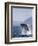 Humpback Whale Breaching, Inside Passage, Alaska, USA-Stuart Westmoreland-Framed Photographic Print