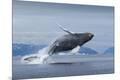 Premium Photographic Print