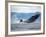 Humpback Whale Calf Breaching in Frederick Sound, Tongass National Forest, Alaska, Usa-Paul Souders-Framed Photographic Print