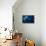 Humpback Whale in Active Group-Barathieu Gabriel-Framed Premier Image Canvas displayed on a wall