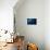 Humpback Whale in Active Group-Barathieu Gabriel-Photographic Print displayed on a wall