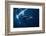 Humpback Whale in Active Group-Barathieu Gabriel-Framed Photographic Print