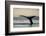 Humpback Whale in Disko Bay in Greenland-Paul Souders-Framed Photographic Print