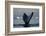 Humpback Whale in Disko Bay in Greenland-Paul Souders-Framed Photographic Print