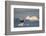 Humpback Whale in Disko Bay in Greenland-Paul Souders-Framed Photographic Print