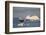 Humpback Whale in Disko Bay in Greenland-Paul Souders-Framed Photographic Print