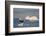 Humpback Whale in Disko Bay in Greenland-Paul Souders-Framed Photographic Print