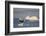 Humpback Whale in Disko Bay in Greenland-Paul Souders-Framed Photographic Print