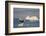 Humpback Whale in Disko Bay in Greenland-Paul Souders-Framed Photographic Print