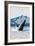 Humpback Whale, Juneau, Alaska-Lantern Press-Framed Art Print