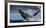 Humpback Whale (Megaptera Novaeangliae) Breaching During Annual Sardine Run-Wim van den Heever-Framed Photographic Print