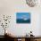 Humpback Whale (Megaptera Novaeangliae) Breaching in the Sea-null-Photographic Print displayed on a wall