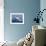 Humpback Whale (Megaptera Novaeangliae) Breaching in the Sea-null-Framed Photographic Print displayed on a wall