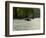 Humpback Whale (Megaptera novaeangliae) in the Pacific Ocean, Nuqui, Colombia-null-Framed Photographic Print