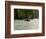 Humpback Whale (Megaptera novaeangliae) in the Pacific Ocean, Nuqui, Colombia-null-Framed Photographic Print