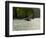 Humpback Whale (Megaptera novaeangliae) in the Pacific Ocean, Nuqui, Colombia-null-Framed Photographic Print