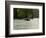 Humpback Whale (Megaptera novaeangliae) in the Pacific Ocean, Nuqui, Colombia-null-Framed Photographic Print