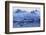 Humpback Whale (Megaptera Novaeangliae) Tail Fluke Above Water before Diving-Widstrand-Framed Photographic Print