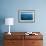 Humpback Whale (Megaptera Novaeangliae) Watching in Harvey Bay, Queensland, Australia, Pacific-Michael Runkel-Framed Photographic Print displayed on a wall