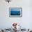 Humpback Whale (Megaptera Novaeangliae) Watching in Harvey Bay, Queensland, Australia, Pacific-Michael Runkel-Framed Photographic Print displayed on a wall