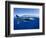 Humpback whale, mother and calf, West Maui, Hawaii-David Fleetham-Framed Photographic Print