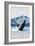 Humpback Whale, Petersburg, Alaska-Lantern Press-Framed Premium Giclee Print