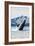 Humpback Whale, Petersburg, Alaska-Lantern Press-Framed Premium Giclee Print