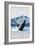 Humpback Whale, Petersburg, Alaska-Lantern Press-Framed Art Print