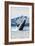 Humpback Whale, Petersburg, Alaska-Lantern Press-Framed Art Print