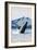 Humpback Whale, Petersburg, Alaska-Lantern Press-Framed Art Print