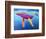 Humpback Whale - Rainbow-Dawgart-Framed Giclee Print