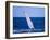 Humpback Whale's Fin-DLILLC-Framed Photographic Print