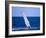 Humpback Whale's Fin-DLILLC-Framed Photographic Print